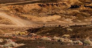 麻将策略阶段性总结（麻将策略阶段性回顾）